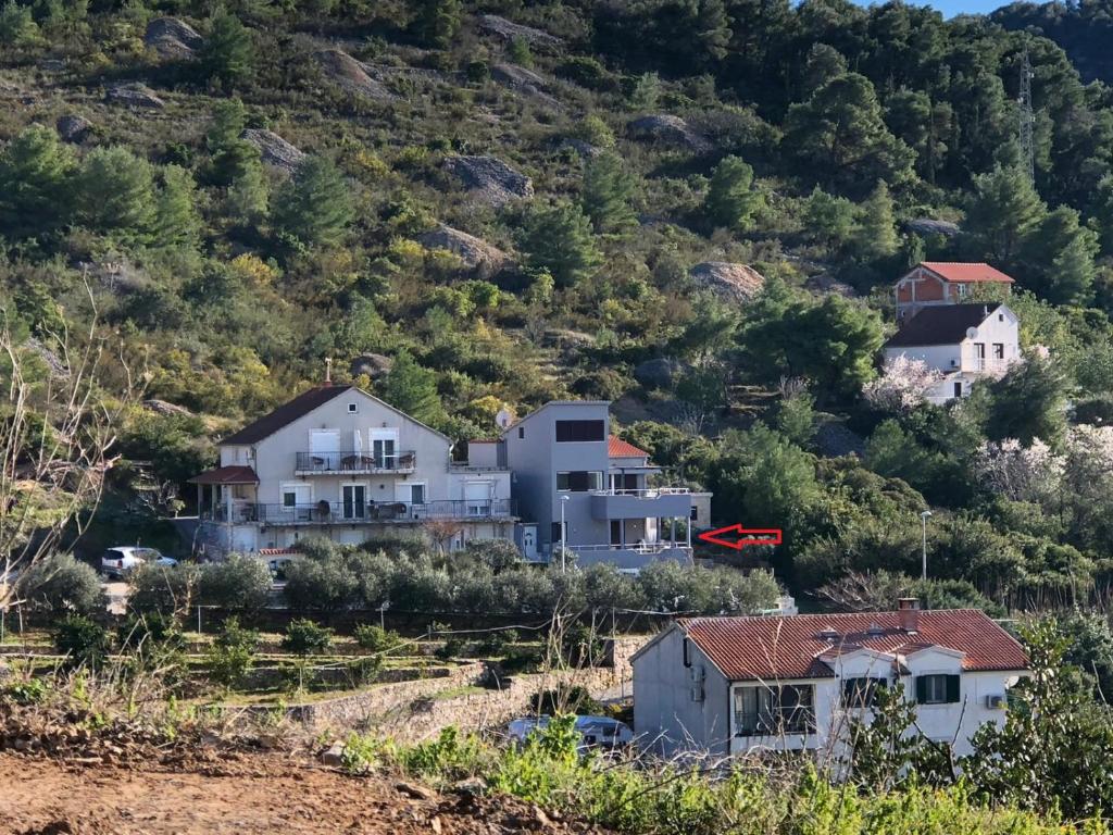 Příroda nedaleko apartmánu