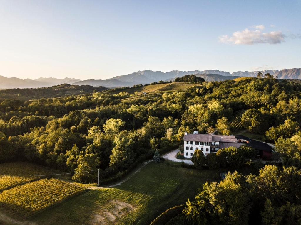 uma vista aérea de uma casa numa colina com árvores em Oasi Picolit em Povoletto