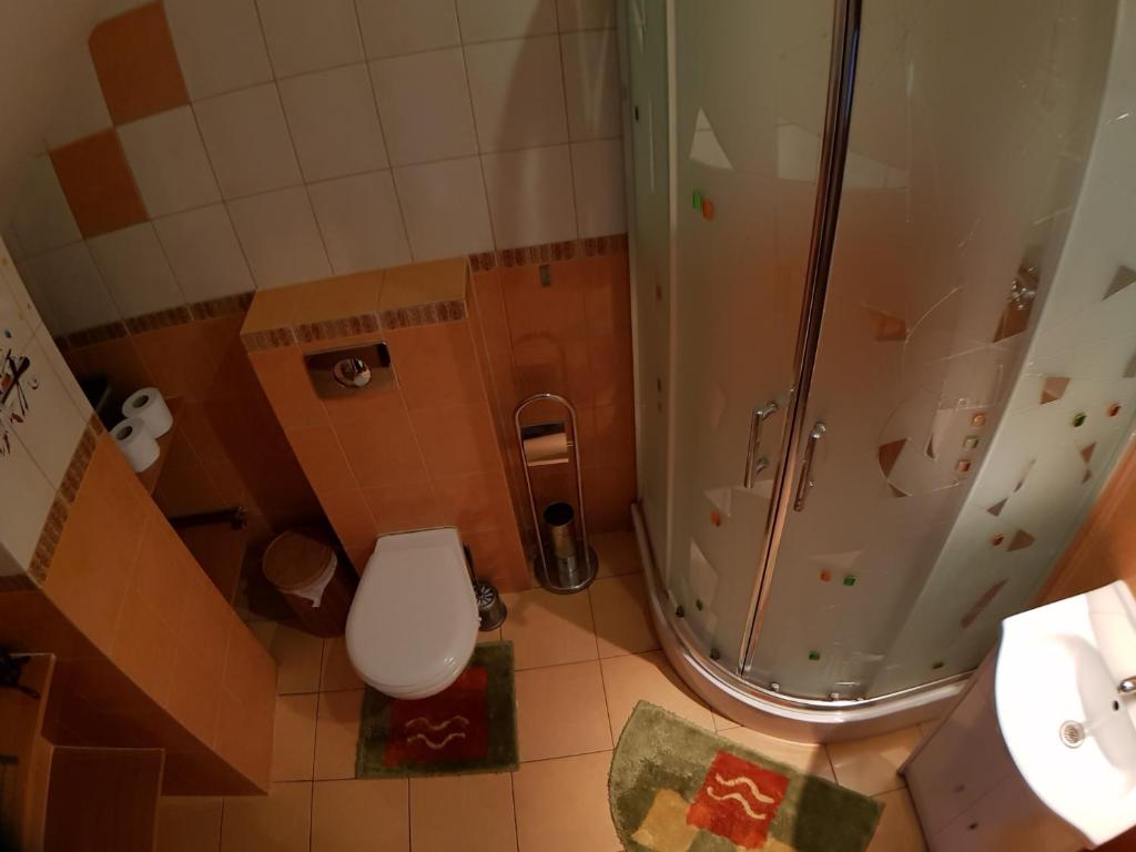 Kúpeľňa v ubytovaní Wynajem Pokoi Willa Pod Lasem