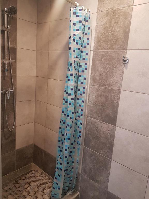 a shower with a blue glass curtain in a bathroom at Noclegi u Andrzeja in Gdańsk