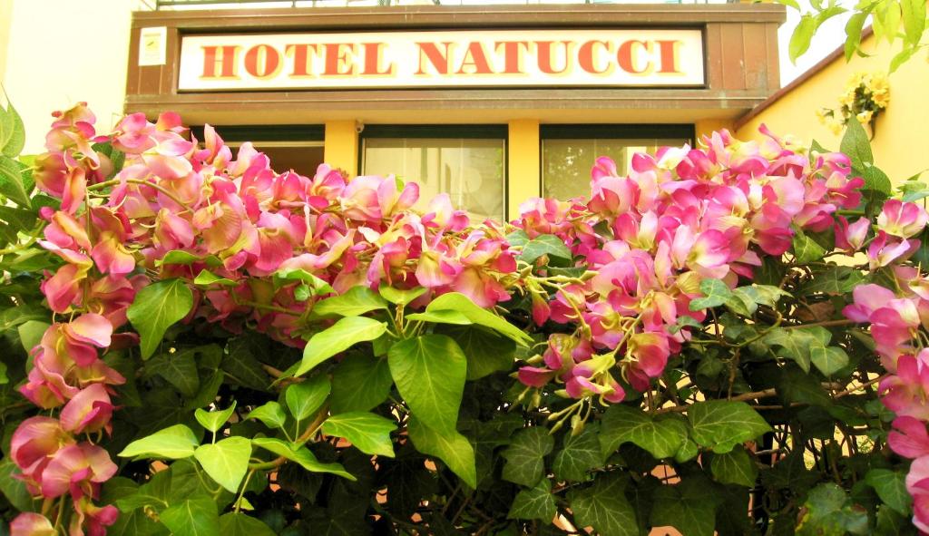 Zahrada ubytování Albergo Natucci