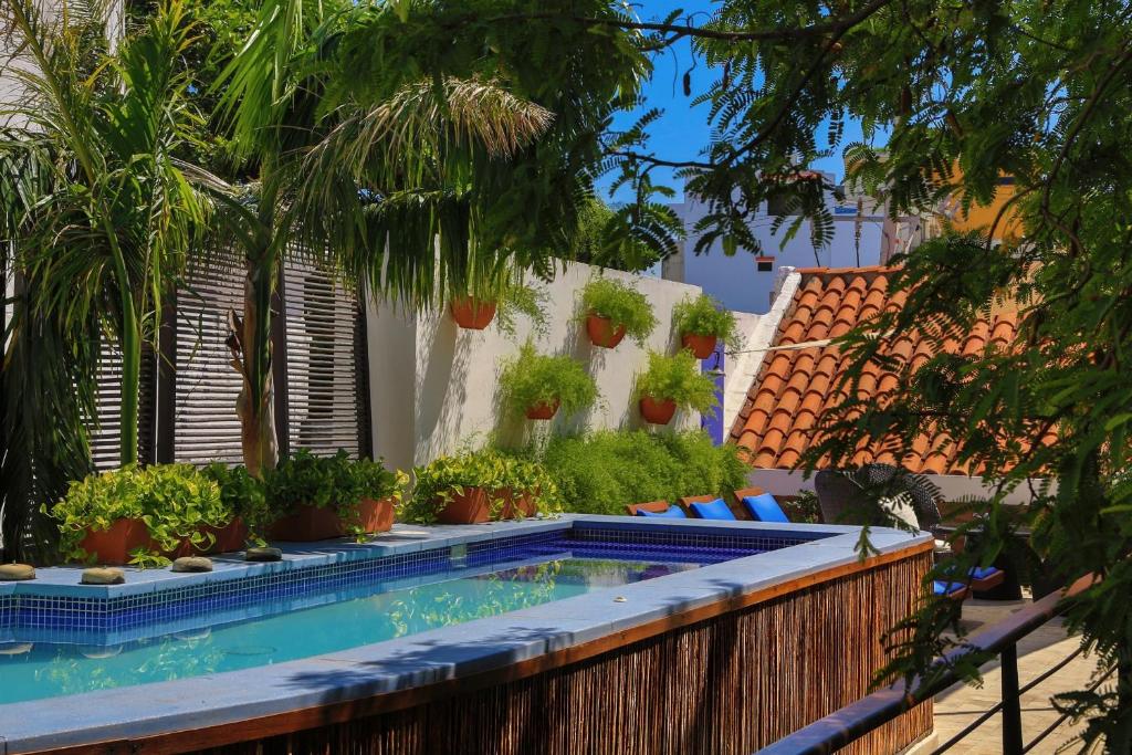 Hoteles en Santa Marta | Mejor valorados 18443597