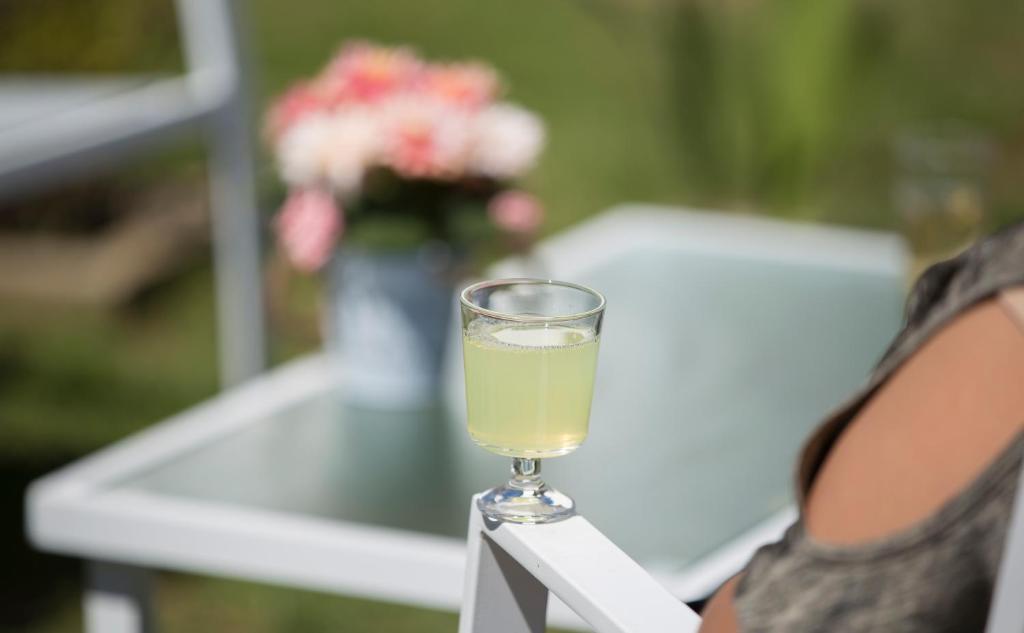 Pyramidal Park Valdivia