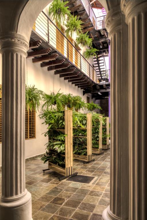 Fotografie z fotogalerie ubytování Casa de Leda, a Kali Hotel v destinaci Santa Marta