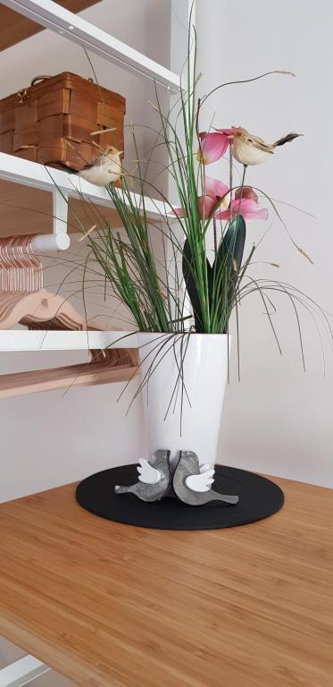 La casa de Maria - 9