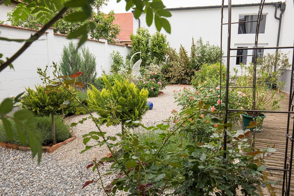Zahrada ubytování Weingut Gsellmann - Wohnen bei Ilse