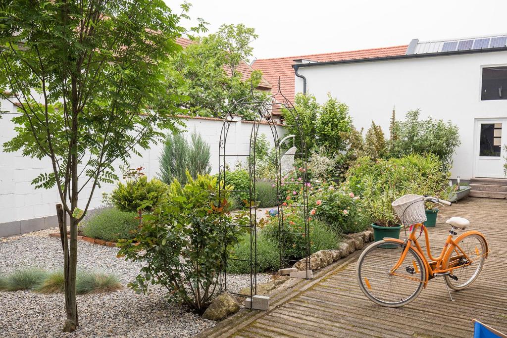 Zahrada ubytování Weingut Gsellmann - Wohnen bei Ilse
