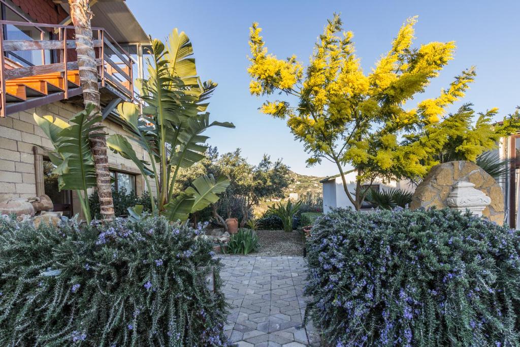 Zahrada ubytování B&B Eyexei Domus