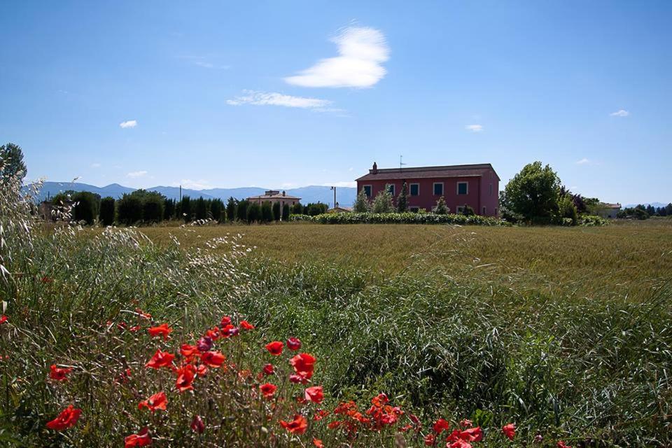 a field with red flowers in front of a house at TORRE QUADRANA in Spello