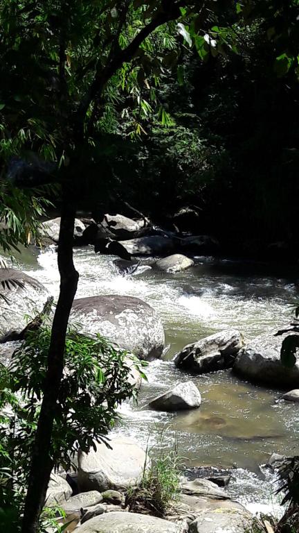  venha curtir a natureza