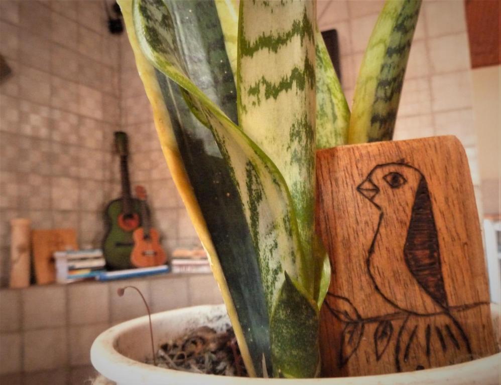 Foto da galeria de Casa di Vó em Mucugê