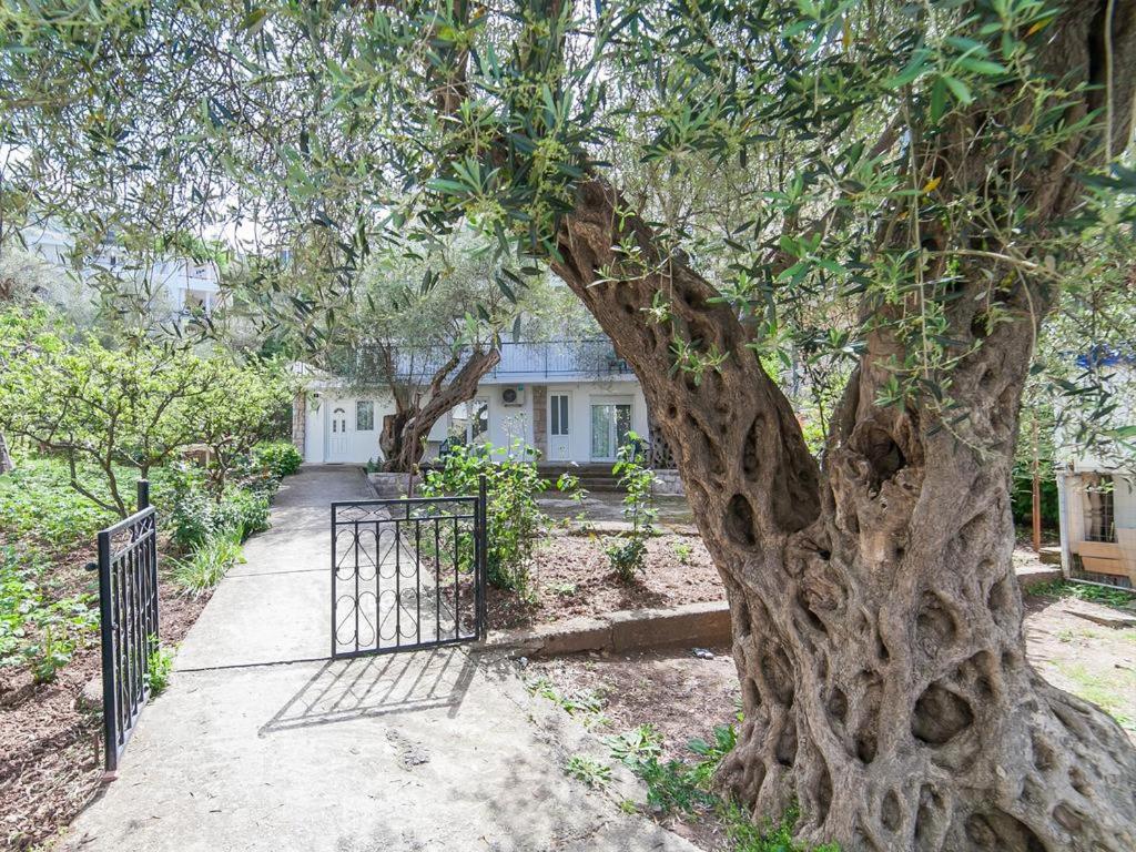 uma grande árvore em frente a uma casa em Hana Accommodation em Sveti Stefan