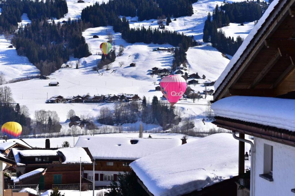Chalet Solaria 2 bedrooms with mountain and garden view v zimě