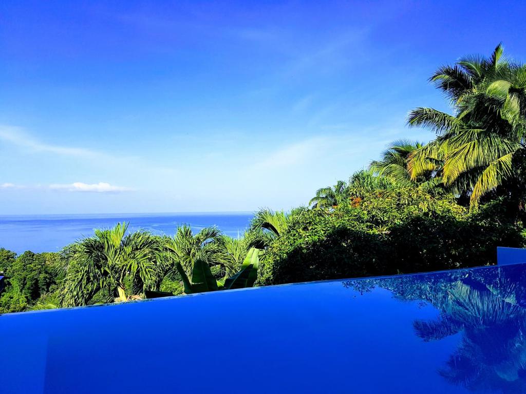 een uitzicht op de oceaan en palmbomen vanaf een zwembad bij GÏTE REVE CARAIBES " LA PERLE " in Bouillante