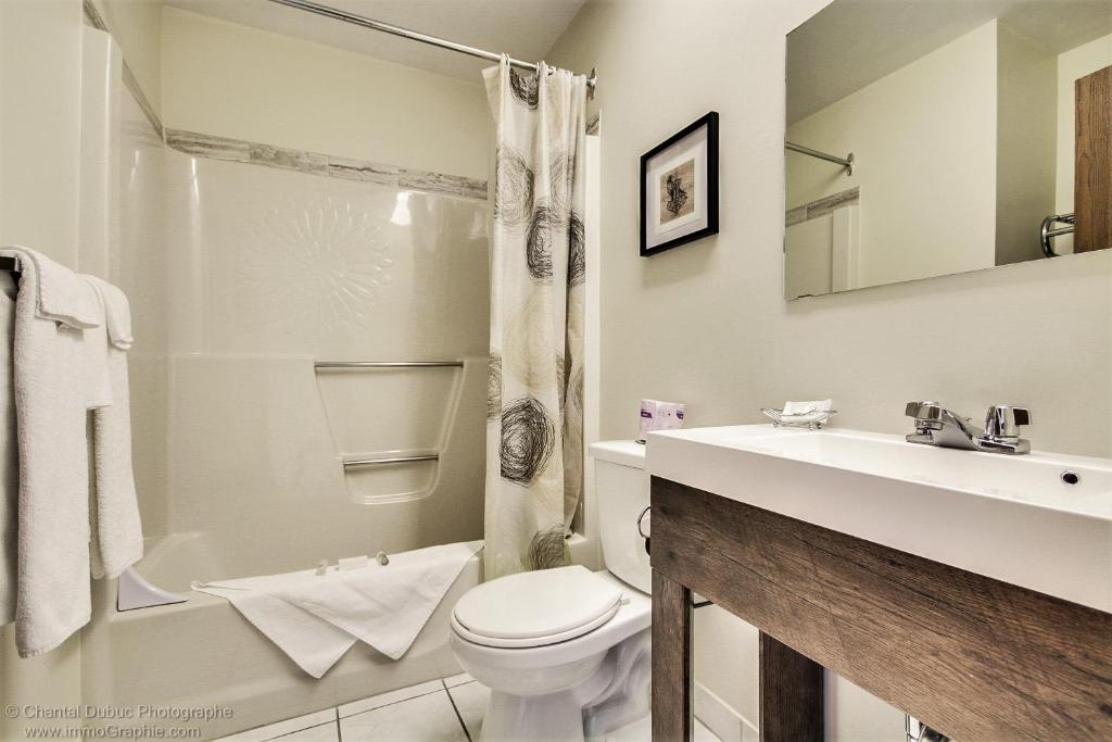 Koupelna v ubytování Auberge motel drakkar