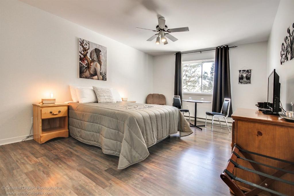 Postel nebo postele na pokoji v ubytování Auberge motel drakkar