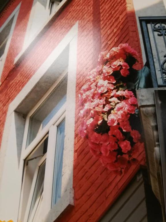 Fotografie z fotogalerie ubytování PortaNova 21 v destinaci Huy