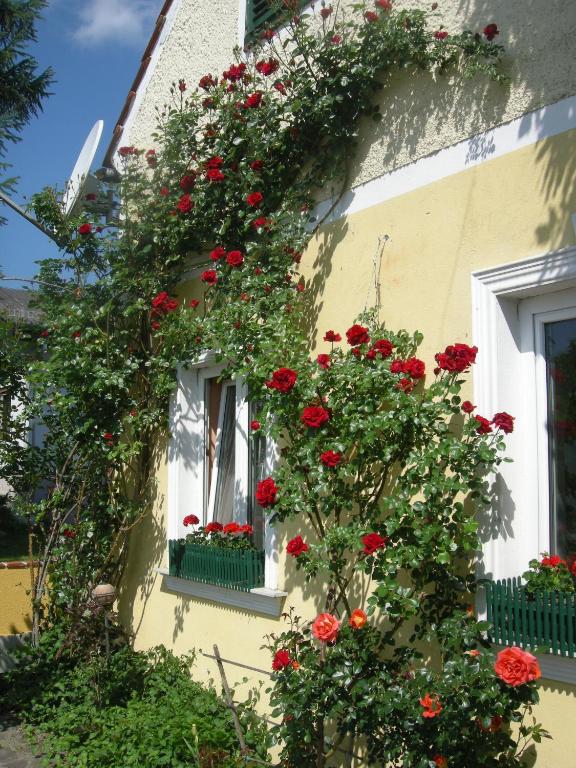 una casa con fiori rossi su un lato di Pension Arkadenhof a Premstätten