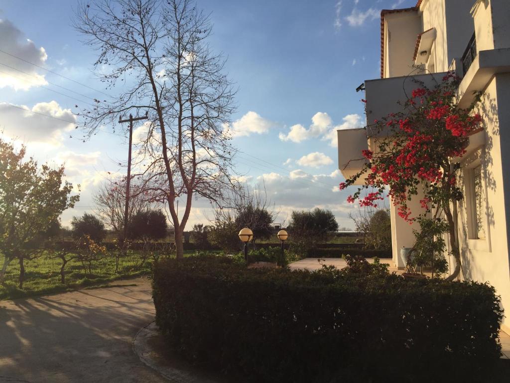 Κήπος έξω από το Swan House Panoramic View - Near the sea