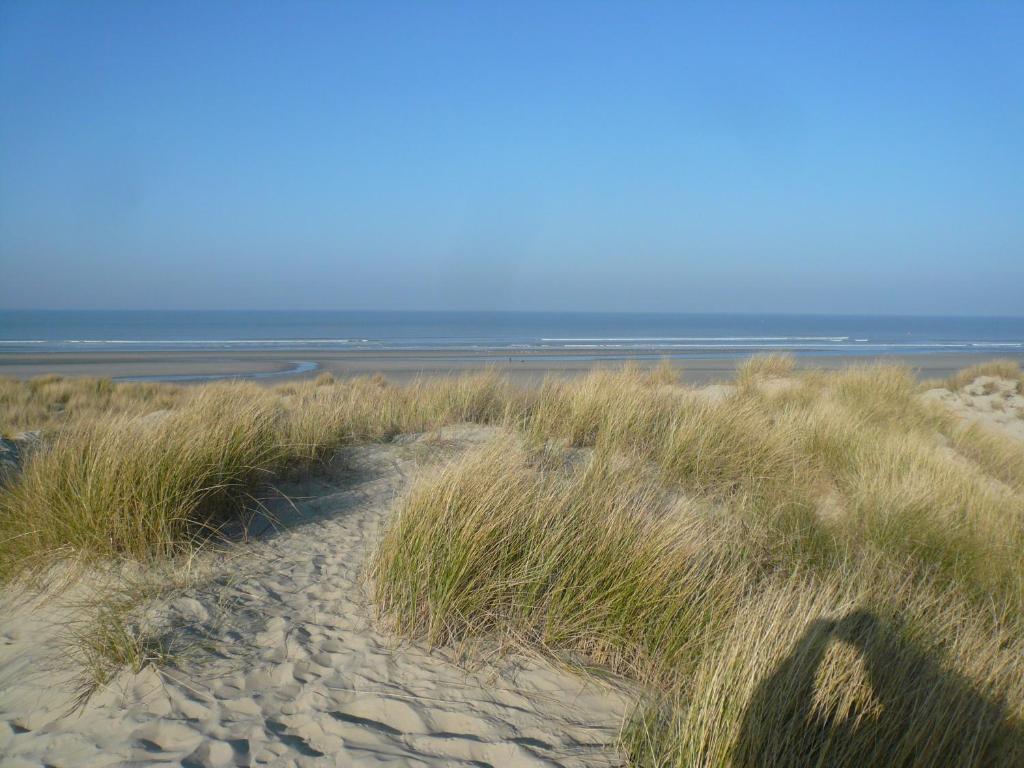 een zandstrand met gras en de oceaan op de achtergrond bij La Garenne in Camiers