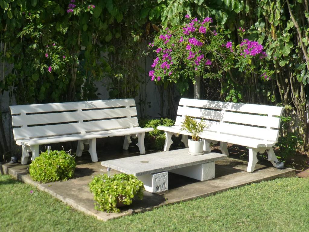 Zahrada ubytování FIGTREE GUESTHOUSE