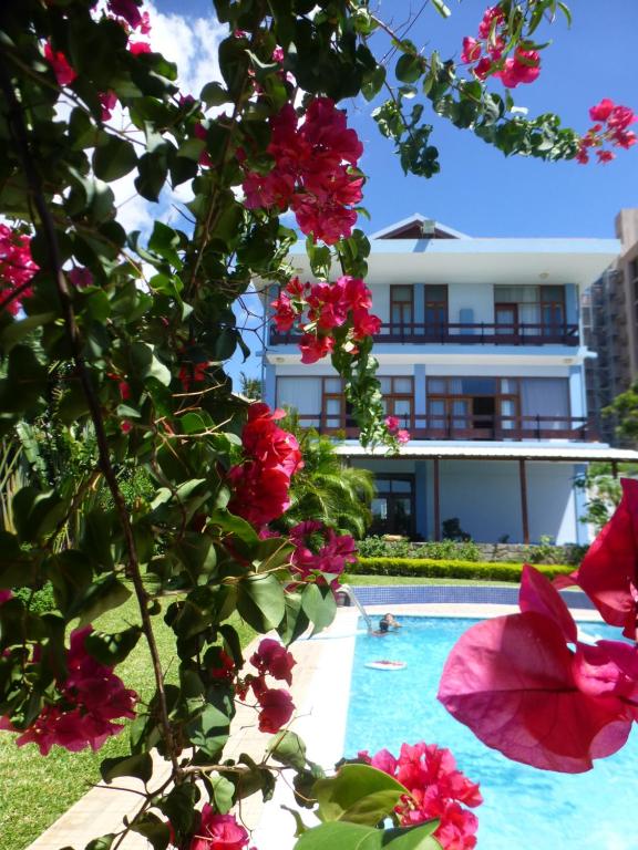 Bazén v ubytování FIGTREE GUESTHOUSE nebo v jeho okolí