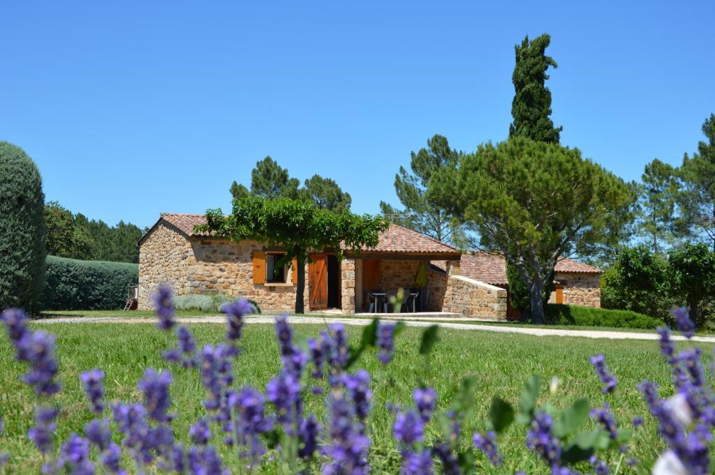 une maison en pierre avec des fleurs violettes au premier plan dans l'établissement Domaine d'Augnac, à Rosières