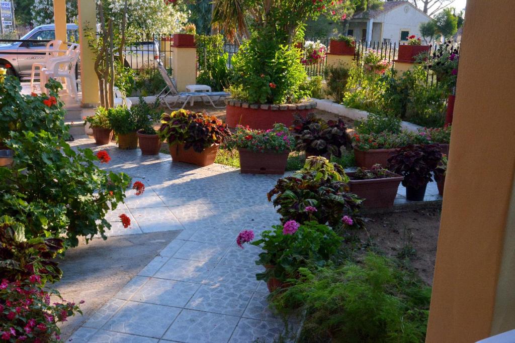Ogród w obiekcie Issos Apartments