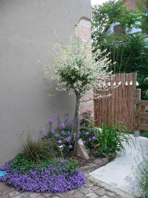 Le gîte du Moulin – photo 12