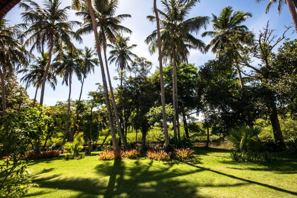  Pousada Paraiso dos Coqueirais