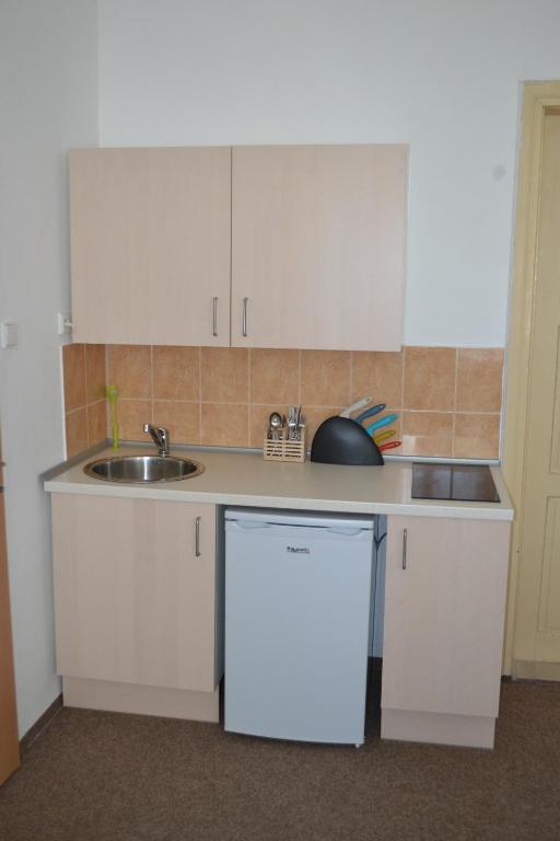 Köök või kööginurk majutusasutuses Hostel U Sv. Štěpána