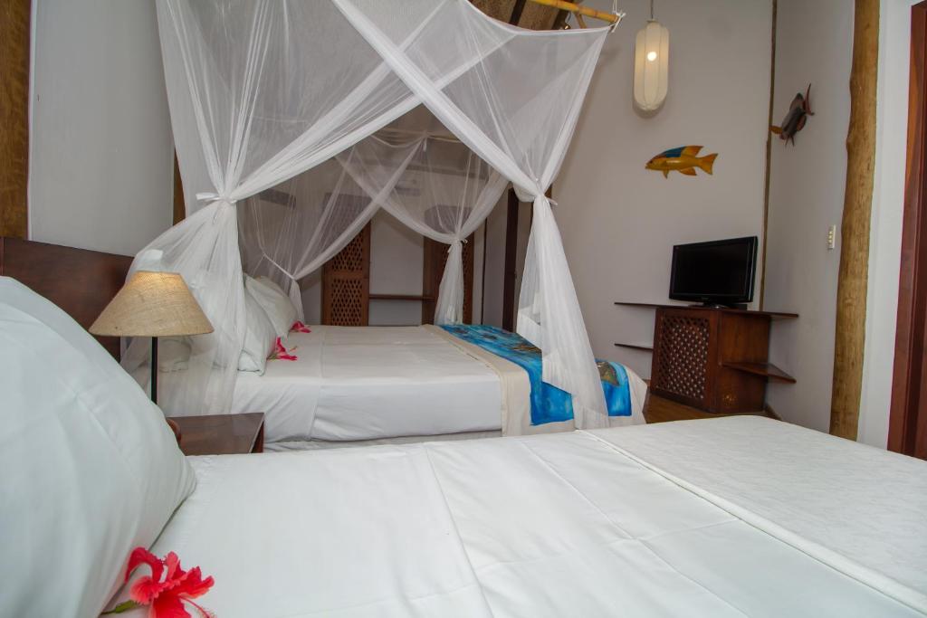  Anima Hotel