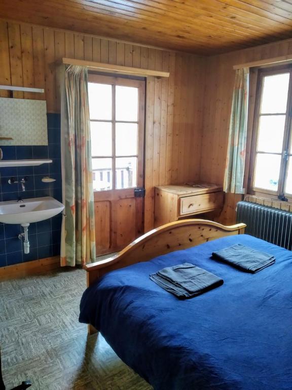 Photo de la galerie de l'établissement Hôtel Pension du Lac Bleu, à La Gouille