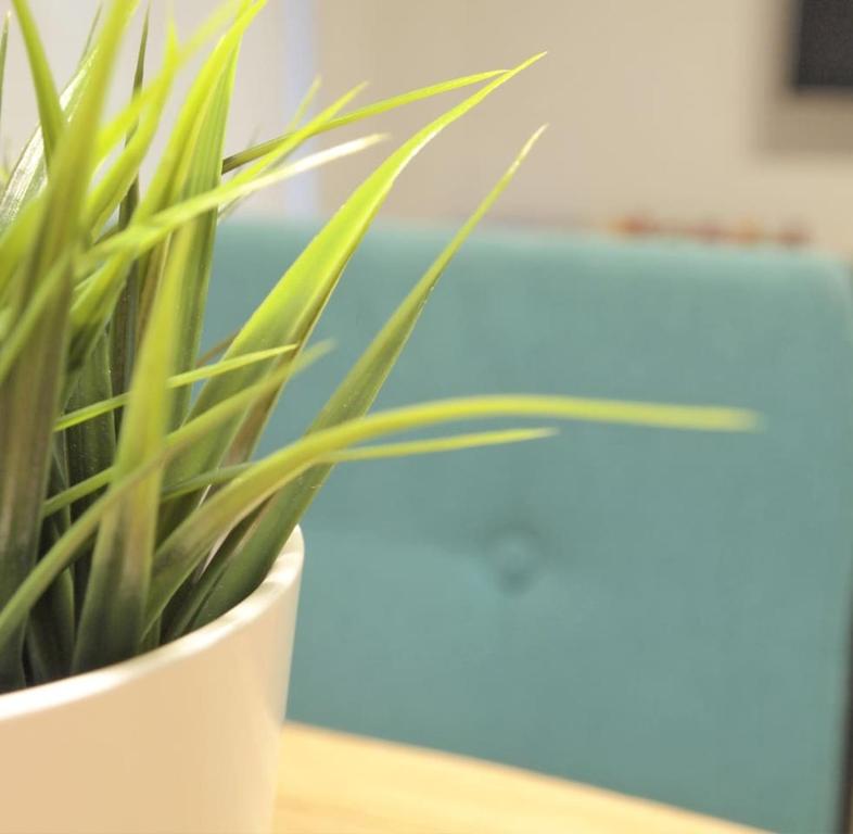 Imagen de la galería de Apartamento Estella-Lizarra, en Estella