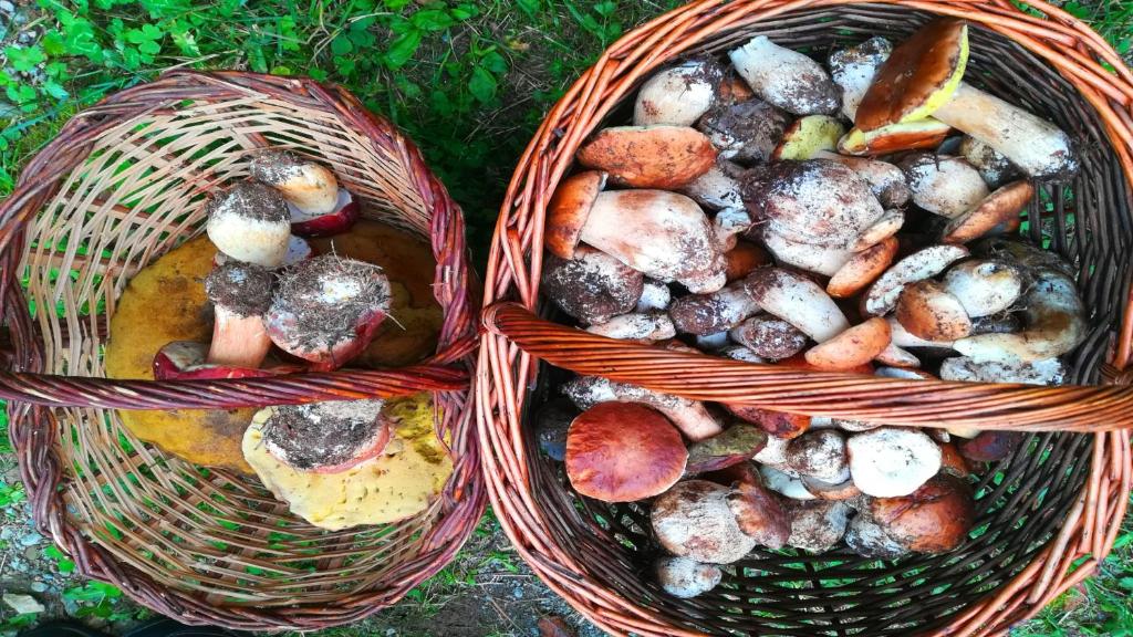 Fotografie z fotogalerie ubytování Can Torrent Vell de Rocabruna v destinaci Rocabruna