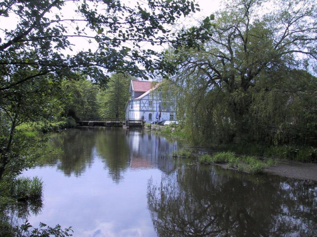 a river with a house in the middle of it at Mühlenteich in der Oldenstädter Wassermühle in Uelzen