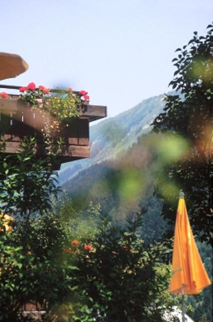 Ein allgemeiner Bergblick oder ein Berglick von des Hotels aus