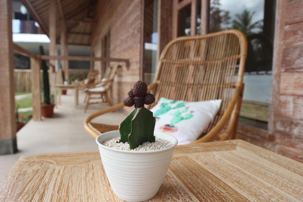 Posezení v ubytování Lazy Inn Kuta Lombok