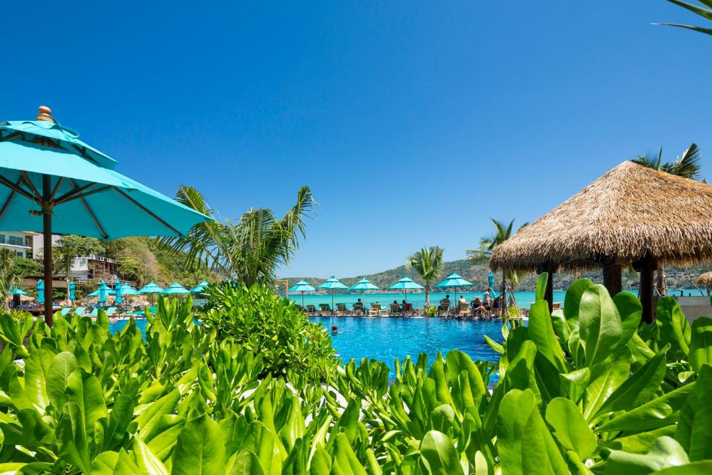 Phi Phi CoCo Beach Resort内部或周边的泳池