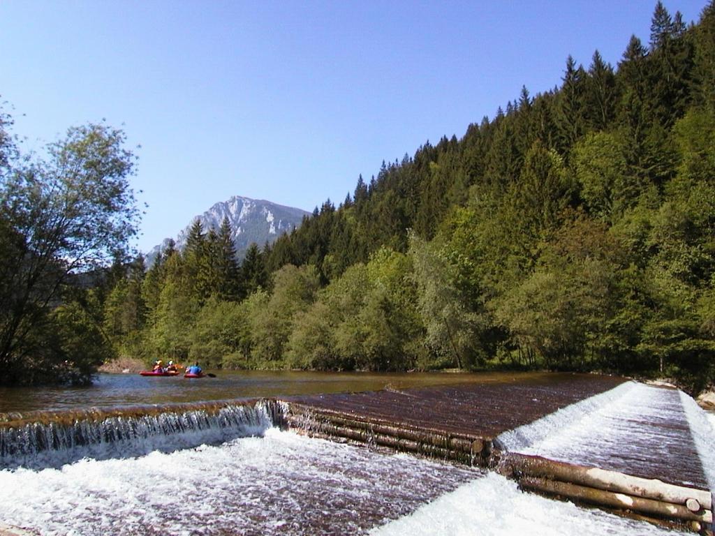 Camp ŠMICA - отзывы и видео