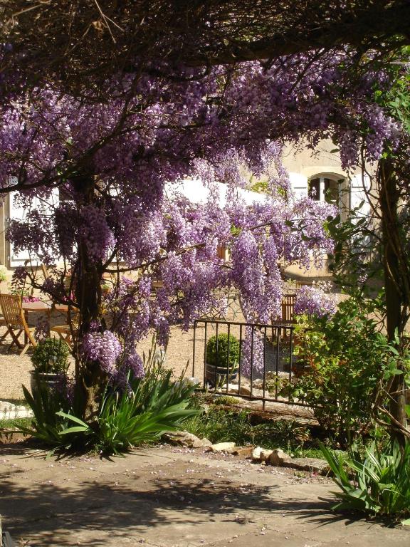 a bush of purple flowers hanging over a fence at Le Relais du Lyon d&#39;Or in Angles-sur-lʼAnglin