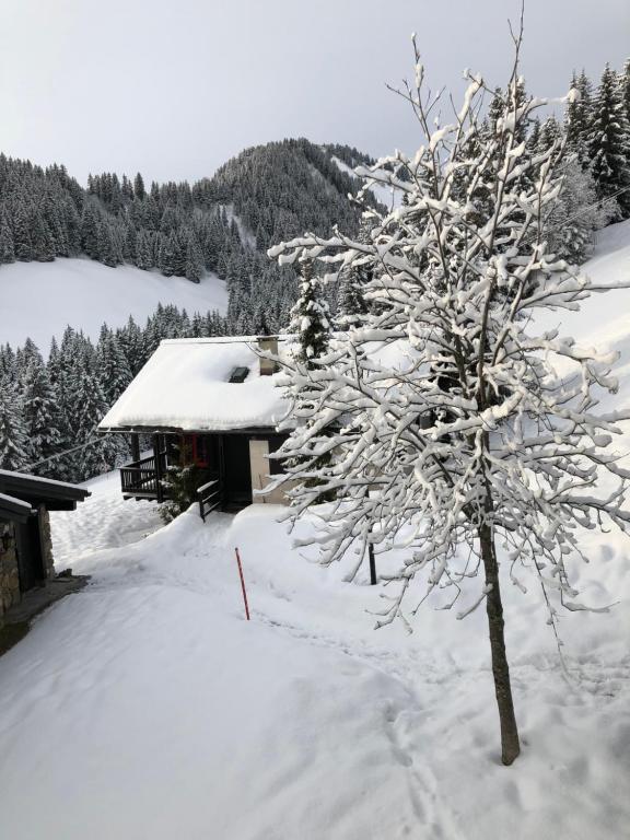 a snow covered cabin with a tree in front of it at Chalet LYS Apartment 14 Rue Sigma in Champoussin