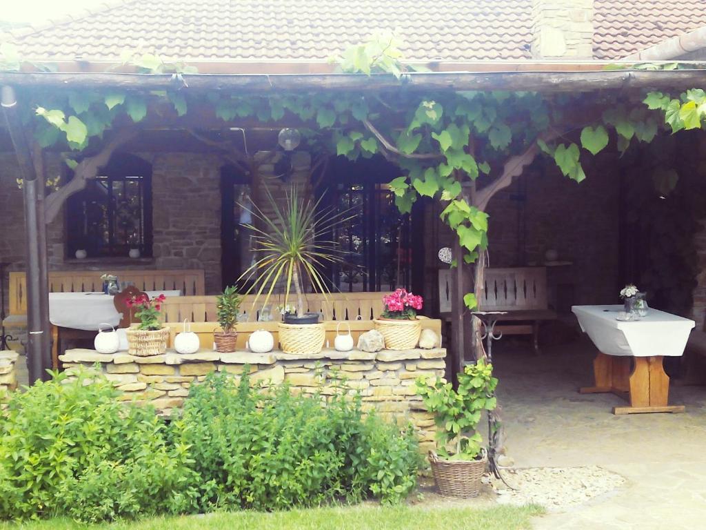 Zahrada ubytování penzion ROSETA