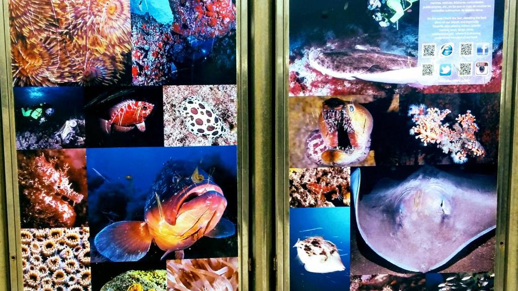 Fotografie z fotogalerie ubytování Estudio Los Molinos v destinaci La Laguna