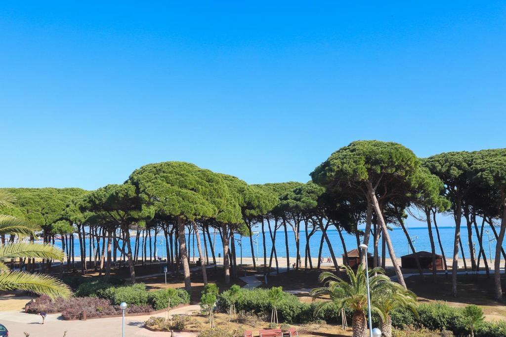 a group of trees with the ocean in the background at DIFFERENTFLATS Dms in La Pineda