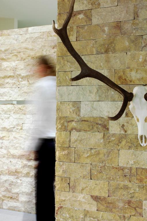 Zvířata v hotelu nebo okolí