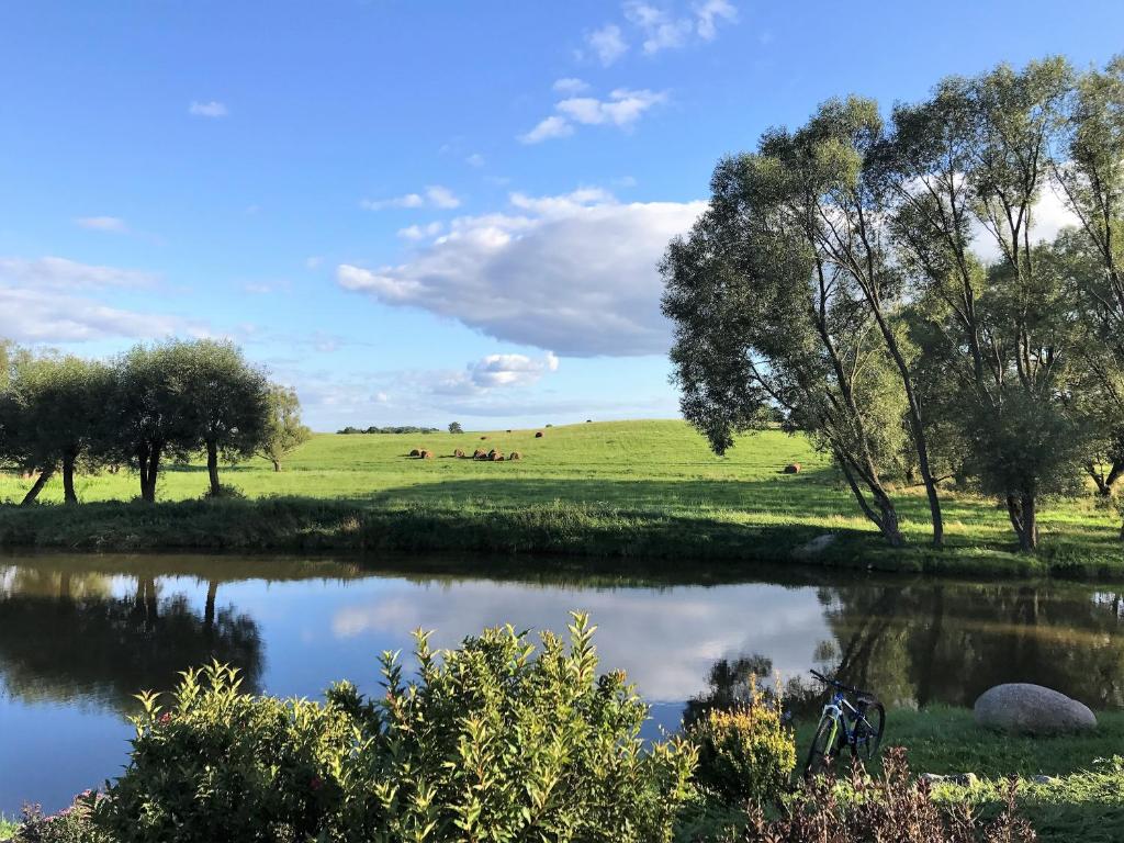 Príroda v okolí vily