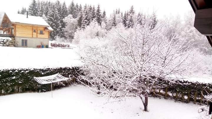 chalet trois étoiles v zimě