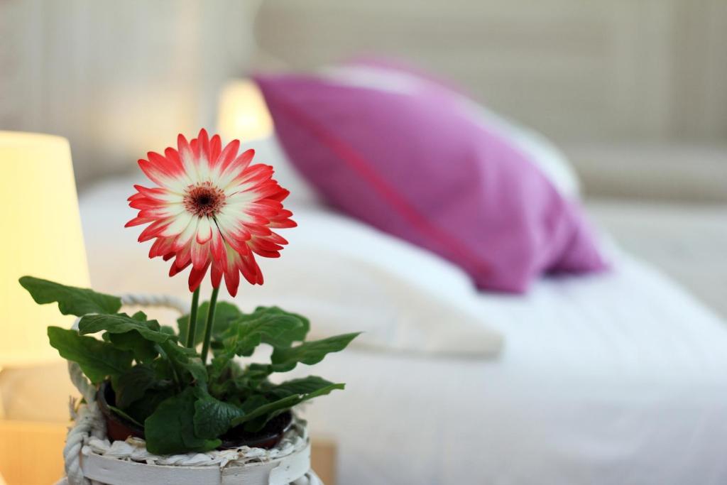 Postel nebo postele na pokoji v ubytování Hotel Verde Luna