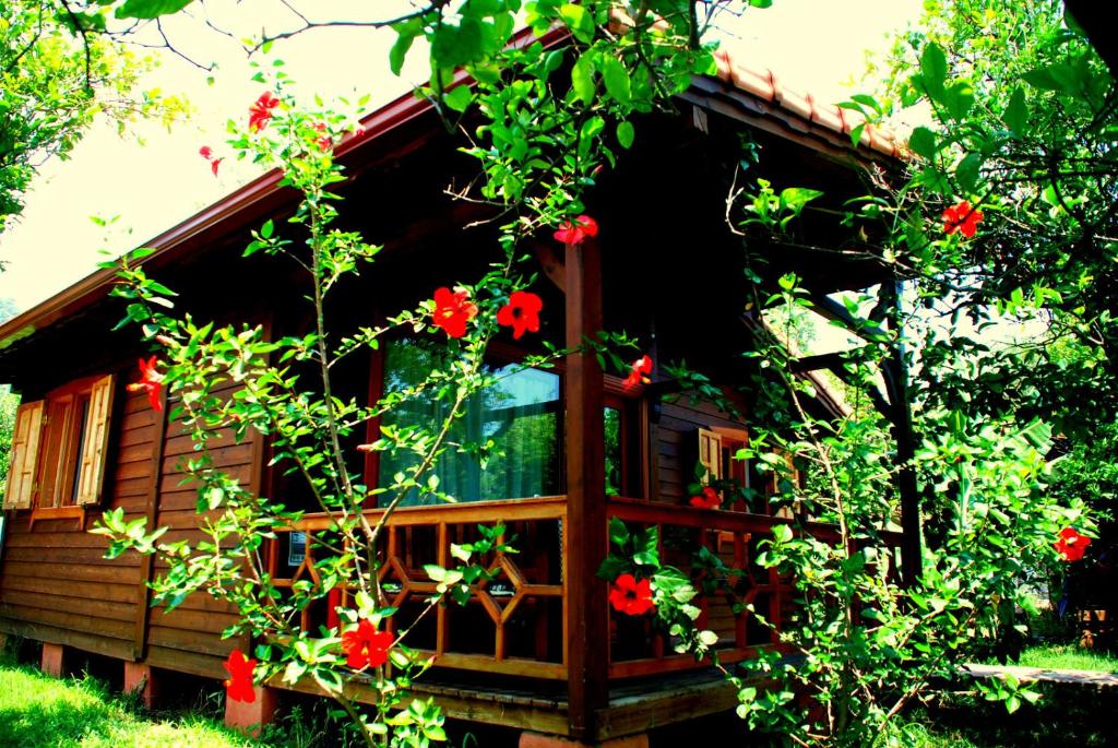 Fotografie z fotogalerie ubytování Baraka House v destinaci Çıralı